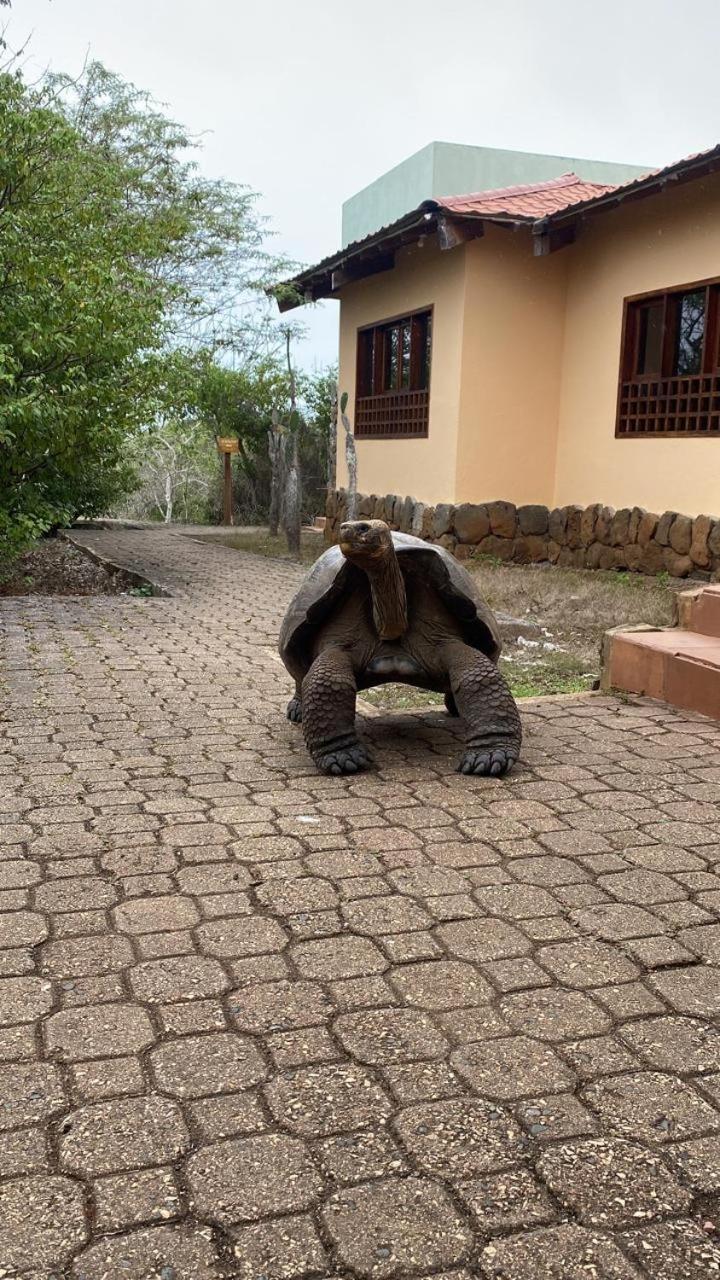 La Casa D Juan Daire Puerto Baquerizo Moreno Dış mekan fotoğraf