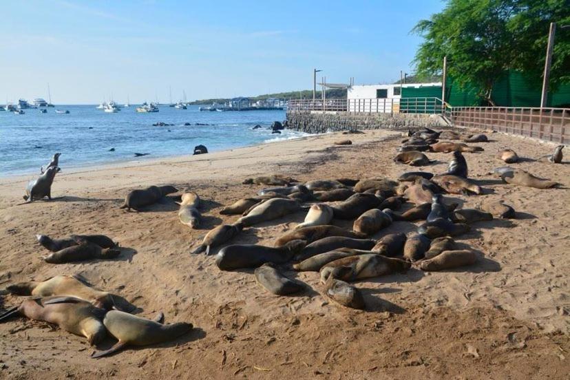 La Casa D Juan Daire Puerto Baquerizo Moreno Dış mekan fotoğraf